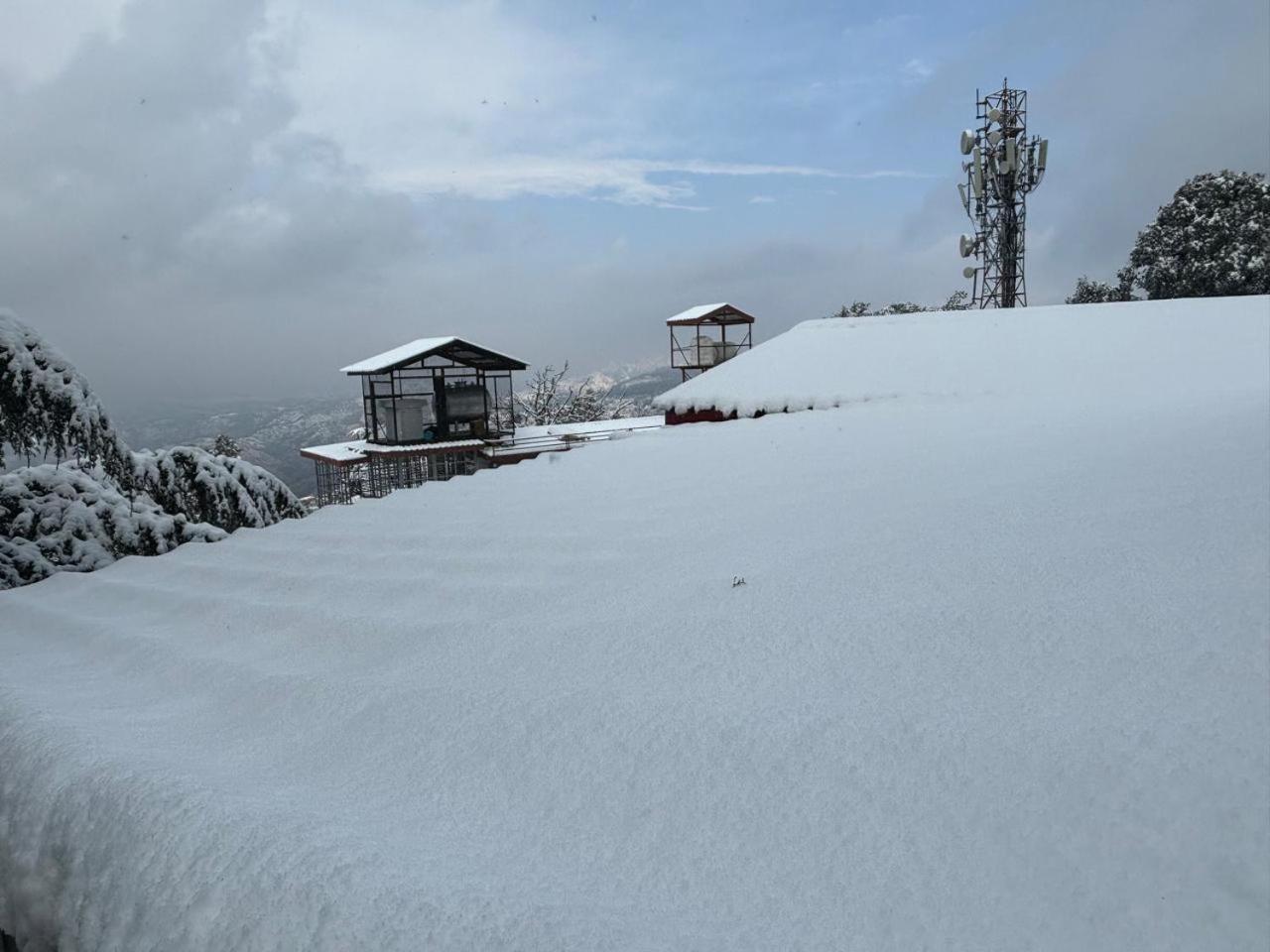 Hotel Jakhu Heights Shimla Extérieur photo