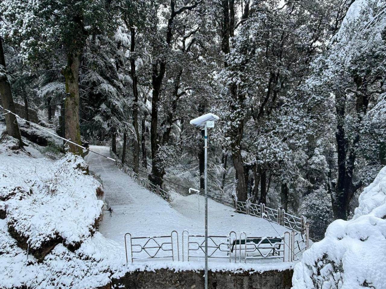 Hotel Jakhu Heights Shimla Extérieur photo