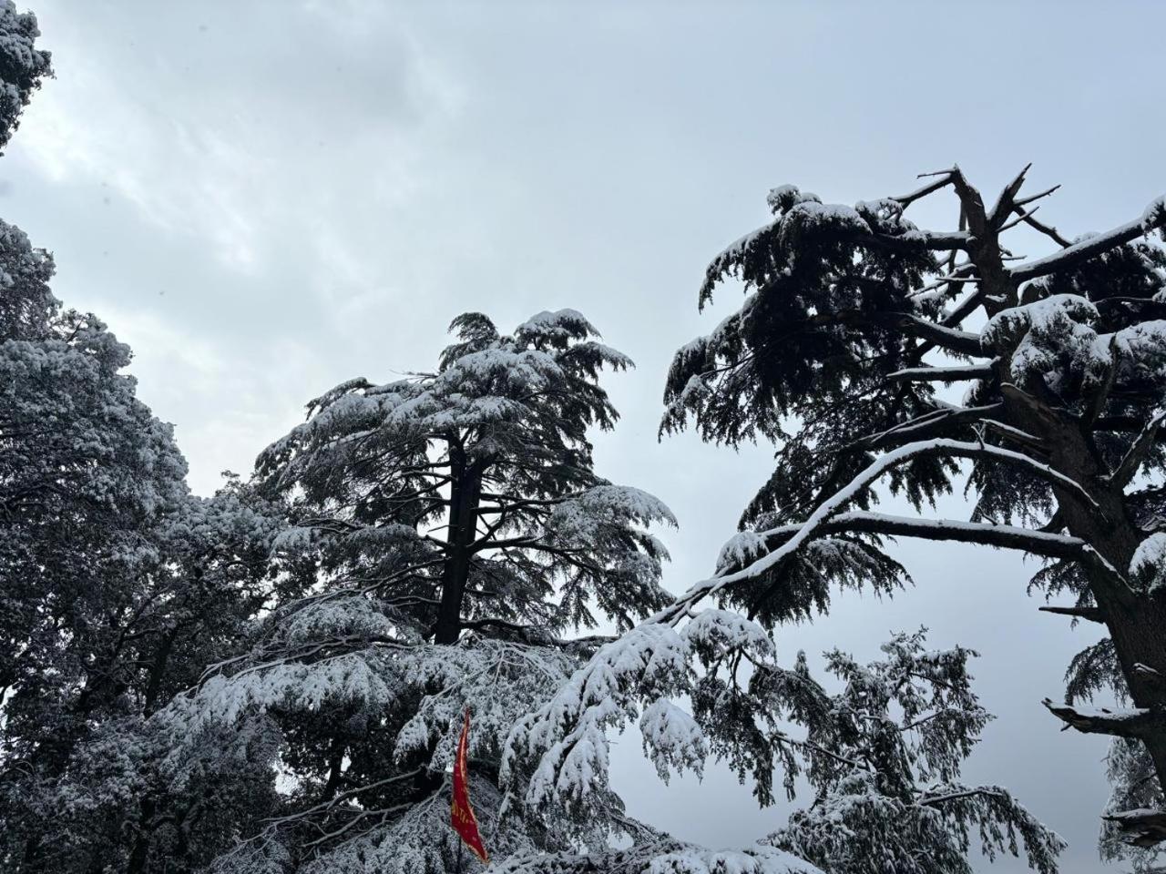 Hotel Jakhu Heights Shimla Extérieur photo