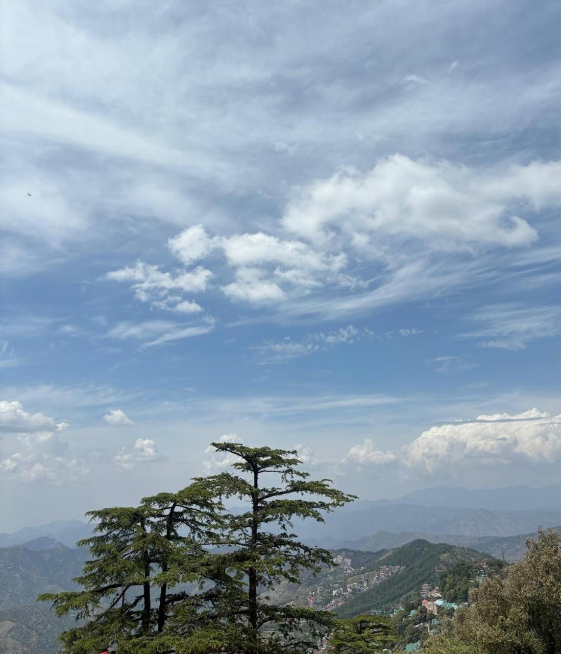 Hotel Jakhu Heights Shimla Extérieur photo